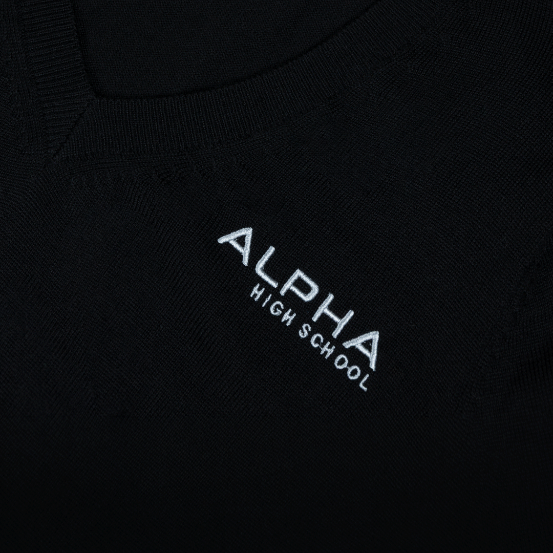 Women’s Alpha High Washable Merino V-Neck Sweater