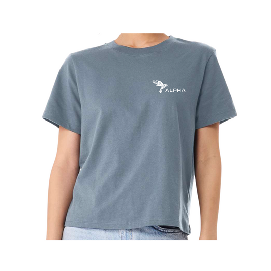 Women's Comfort Demin Tee