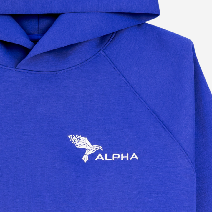 AfterFX™ Intention Hoodie