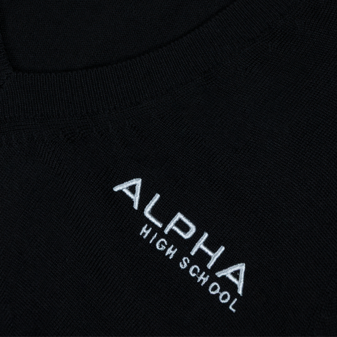 Women’s Alpha High Washable Merino V-Neck Sweater