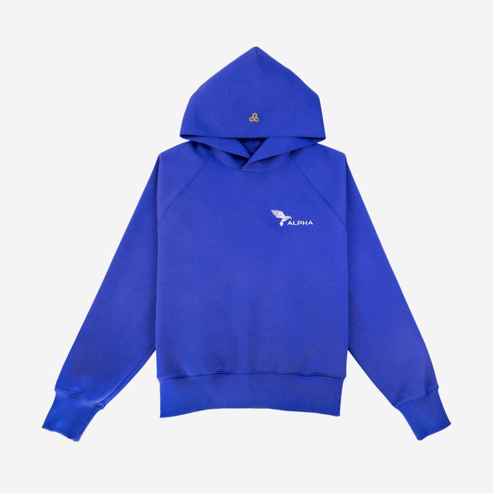 AfterFX™ Intention Hoodie