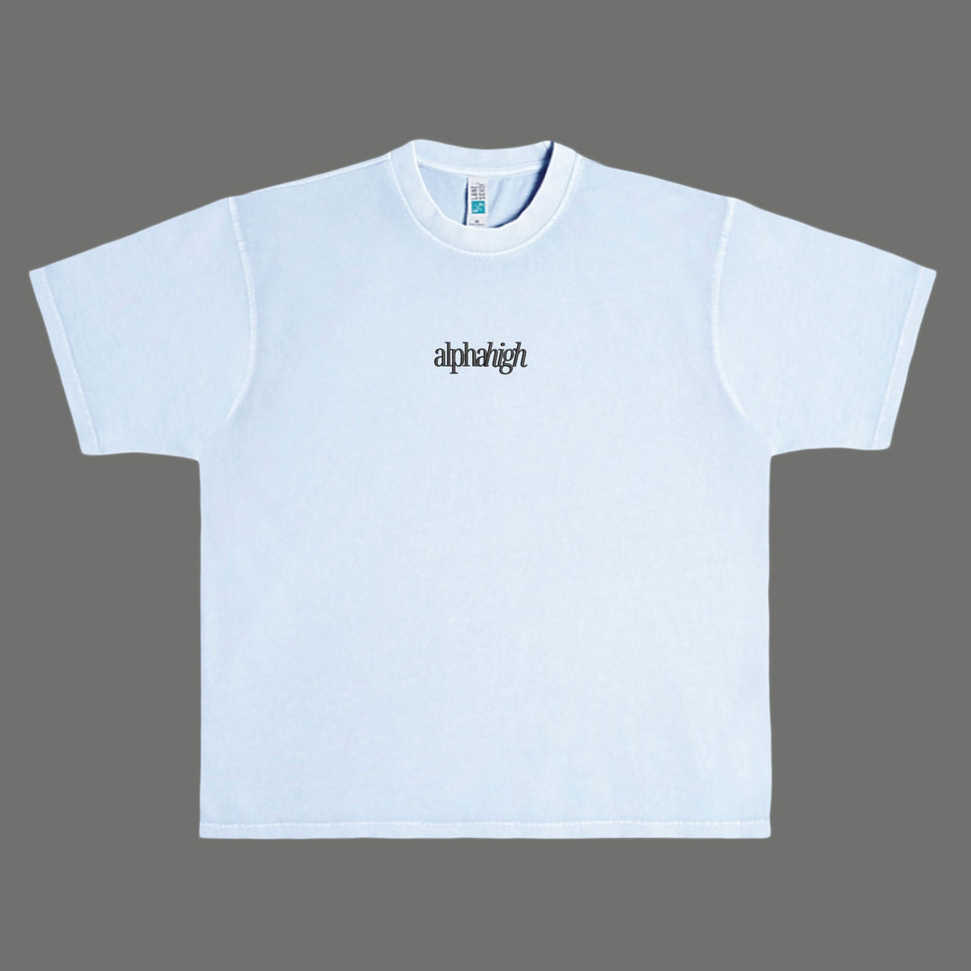 Photo of Alpha High, Heavy, Embroidered Graphic T-shirt 2