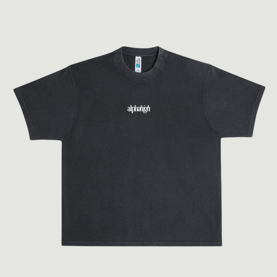 Photo of Alpha High, Heavy, Embroidered Graphic T-shirt 2
