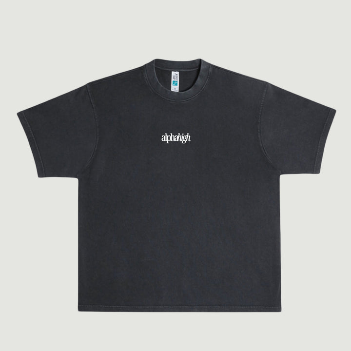 Photo of Alpha High, Heavy, Embroidered Graphic T-shirt 2