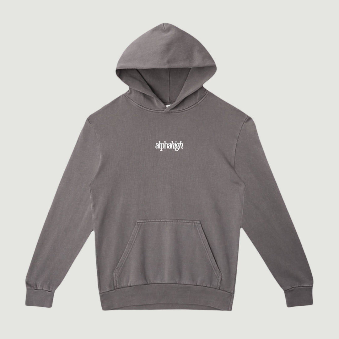 Photo of Alpha High, Embroidered Graphic Hoodie 2