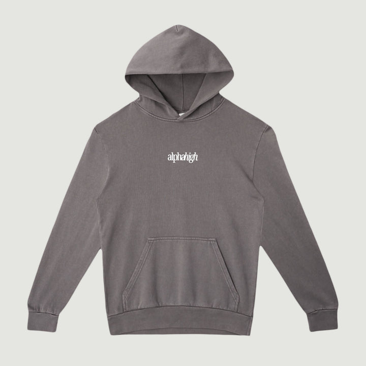 Photo of Alpha High, Embroidered Graphic Hoodie 2