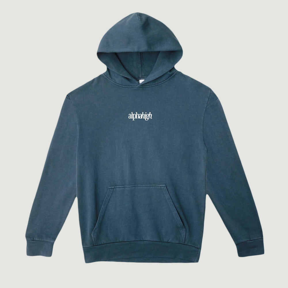 Photo of Alpha High, Embroidered Graphic Hoodie 2
