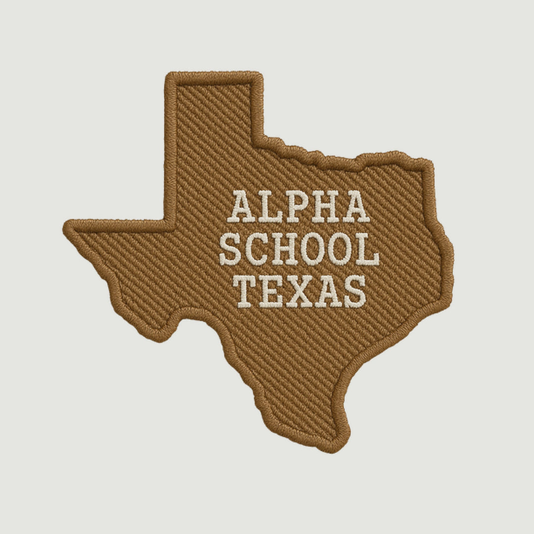 Photo of Texas Silhouette Patch