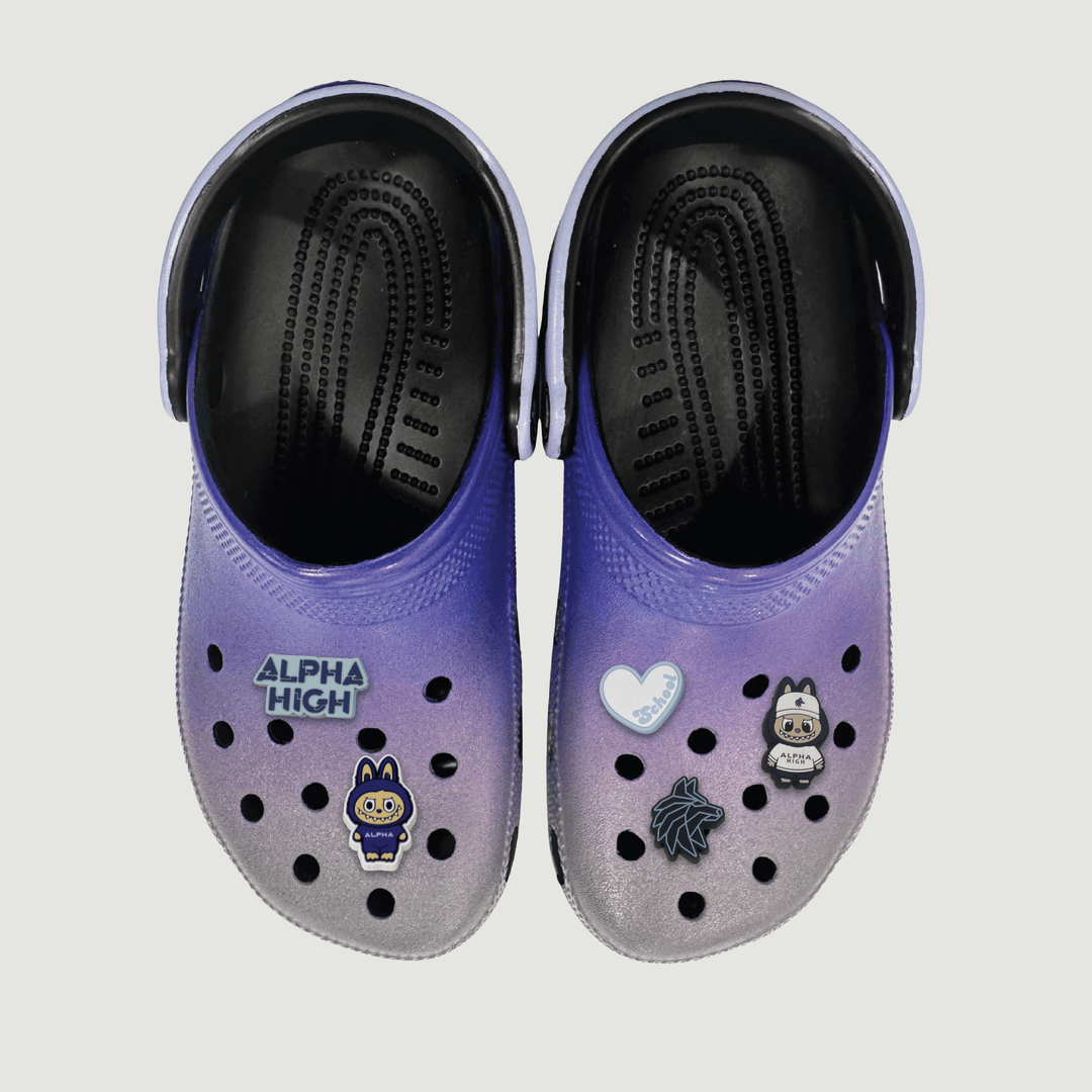 Photo of Alpha High Custom Crocs